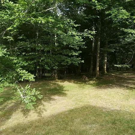 O Vents D'anges - Maison D'hotes Pensionat Maurens (Dordogne)