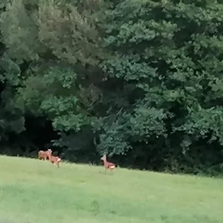 O Vents D'anges - Maison D'hotes 3*