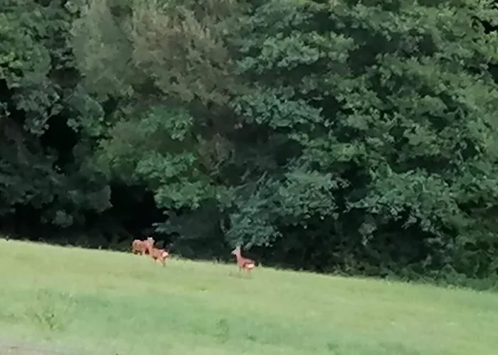 O Vents D'anges - Maison D'hotes 3*